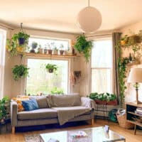 bohaté využitie rastlín vo vašej domácnosti